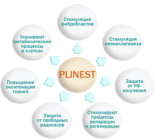 plinest1